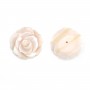 Nacre rose semi-percée en forme de rose 20mm x 1pc