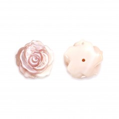 Nacre rose semi-percée en forme de rose 15mm x 1pc