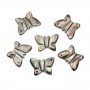 Nacre grise en forme de papillon 9x12mm x 1pc