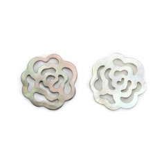Nacre grise ajourée en forme de fleur 14mm x 1pc