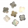Nacre grise en forme de trèfle 10mm x 4 st
