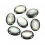 Nacre grise en forme d'oval bombé 12x16mm x 4 pcs
