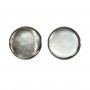 Nacre Grise en Forme de Rond Plat Bombé 20mm x 2pcs