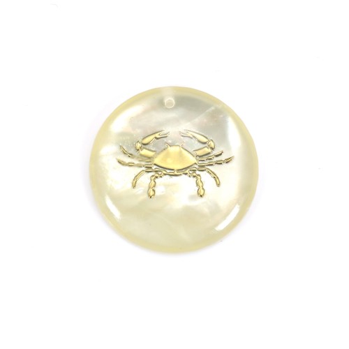 Pendant Cancer mother of pearl 20mm x 1pc