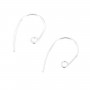 Crochet d'oreilles Clé de fa 21mm Argent 925  x 2pcs