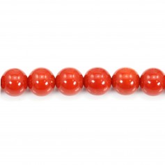 Rote Koralle Natur rund 3mm x 45cm