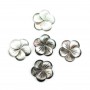 Nacre grise en forme de fleur à 5 pétales 15mm x 1pc