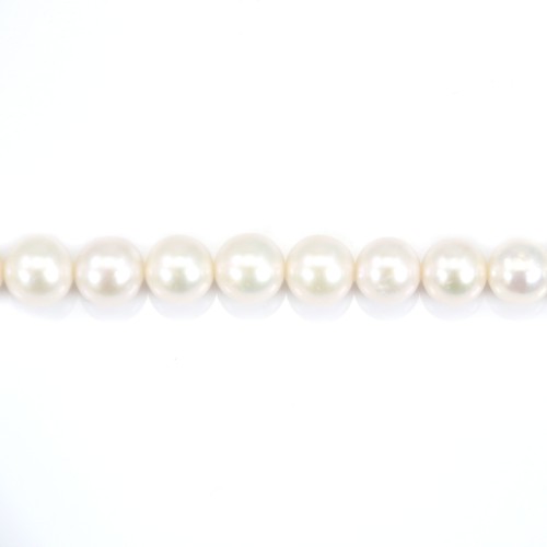 Freshwater cultured pearls, white, round, 7.5-8mm x 39cm