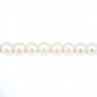 Perles de culture d'eau douce, blanche, ronde, 7.5-8mm x 40cm AAA