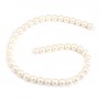 White round freshwater pearl  round 10-11mm x 40cm