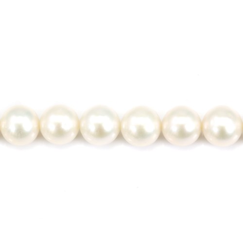 Perles d'eau Douce Blanc rond  10-11mm  AAA x 40cm