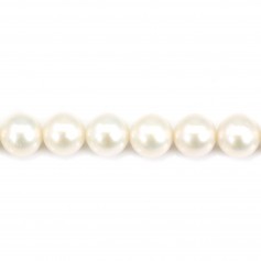 White round freshwater pearl  round 10-11mm x 40cm