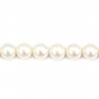 Perles d'eau Douce Blanc rond  10-11mm  AAA x 40cm