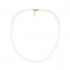 Collier Perle d'eau Douce & Gold Filled 6.5-7mm x 1pc