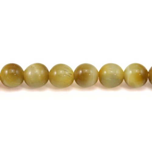 Oeil de Tigre Jaune Or  Ronde 6mm x 40cm