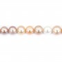 Multicolored round freshwater cultured pearls 12-14mm x 39cm