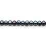Dark blue freshwater pearl oval 4-5mm x  40cm