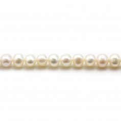Perles de culture d'eau douce, blanche, semi-ronde, 5-5.5mm x 36cm