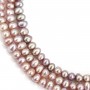 Perle de culture d'eau douce, mauve, ovale, 6-6.5mm x 37cm