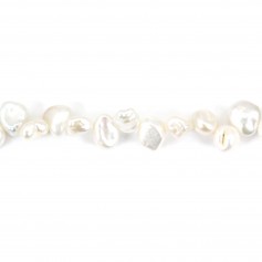 Perle de culture d'eau douce, blanche, keshi, 8-10mm x 39cm