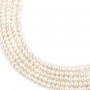 Perle de culture d'eau douce, blanche, semi-ronde, 3-3.5mm x 36cm