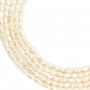 Perle de culture d'eau douce, blanche, olive/irrégulière 2.5-3mm x 35cm