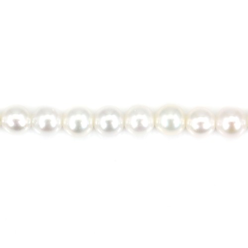 Freshwater cultured pearl, white, round, 4.5mm, AAA x 39cm