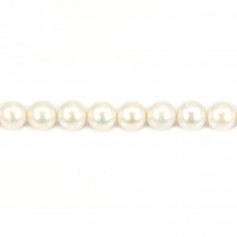 Perle de culture d'eau douce, blanche, ronde, 9-10mm, A x 40cm
