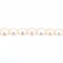 Perle de culture d'eau douce, blanche, semi-ronde, 7.5-8mm x 40cm