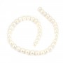 Perle de culture d'eau douce, blanche, ronde, 9-10mm, A x 40cm