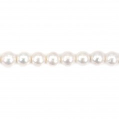 Perle de culture d'eau douce, blanche, ronde, 10-11mm x 40cm