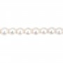 Perle de culture d'eau douce, blanche, ronde, 10-11mm x 40cm