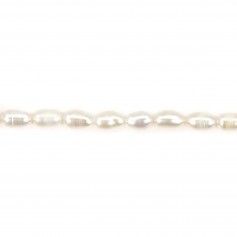 Perle de culture d'eau douce, blanche, olive, 4-4.5mm x 36cm