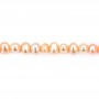 Perle de culture d'eau douce, saumon, ovale, 5-6mm x 36cm