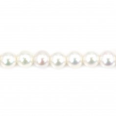Perle de culture d'eau douce, blanche, rond, 3mm x 39cm