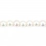 Freshwater cultured pearl, white, round, 3mm x 39cm