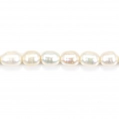 Perles d'eau douce blanches oval 6-7mm x 40cm