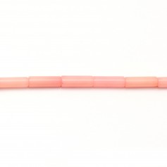 Bambou mer teinté orange Tube 3x10mm x 40cm 