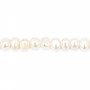 White freshwater pearl oval 3-4mm x 40 cm