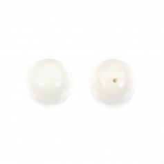 Bénitier, semi-percé d'un côté, ronde 6mm x 2pcs