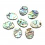 Nacre Abalone ovale 8x10mm x 6 pcs