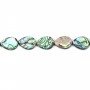 Nacre abalone goutte plate 12x16mm x 40cm (25pcs)