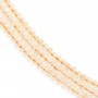 Citrine rondelle facette 3.5x4.5mm x 40cm