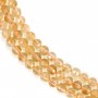 Citrine Faceted Round 6mm x 40cm