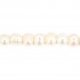 Perles de culture d'eau douce, blanche, irrégulière, 7mm x 10pcs