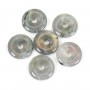 Donut Labradorite 20mm x 1pc