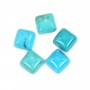 Cabochon Turquoise carré 8mm x1pc