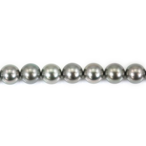 Pearls of Tahiti grey clear round 8.5-9.4mm x 40cm