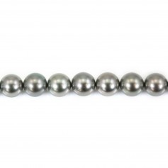 Perles de tahiti gris claire rond 8.5-9.4mm x 40cm