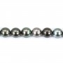 Black pearls of Tahiti round 7.8-8 in 9.5-10 mm x 40cm